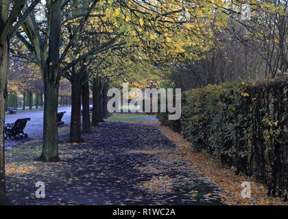 Regents Park a Londra nel periodo autunnale con la perdita dei colori dorati e caduta foglie. Ottobre vibes. Foto Stock
