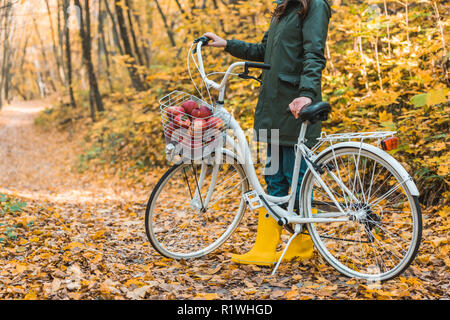 Vista parziale di donna in giallo stivali di gomma in piedi vicino a bicicletta con cesto pieno di mele nella foresta autunnale Foto Stock