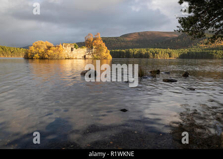 Loch un Eilein nel Parco Nazionale di Cairngorms della Scozia. Foto Stock