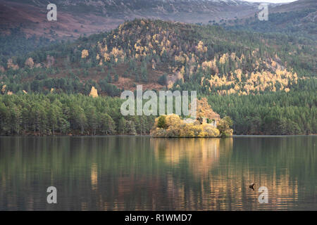 Loch un Eilein nel Parco Nazionale di Cairngorms della Scozia. Foto Stock