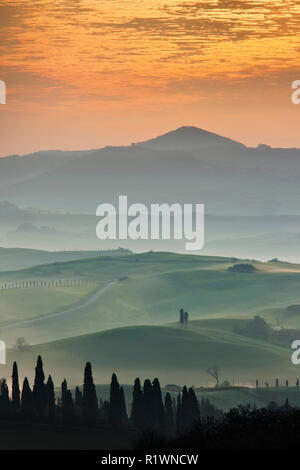 Sunrise sulla Val d'Orcia, nei pressi di San Quirico d'Orcia, Siena, Toscana, Italia, Foto Stock