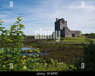 Vista di Dunguaire Castle in Irlanda con la bassa marea con boccole in primo piano Foto Stock