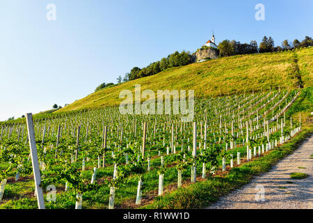 Il percorso da vigneti in collina e la città di Maribor, abbassare la Stiria, Slovenia Foto Stock