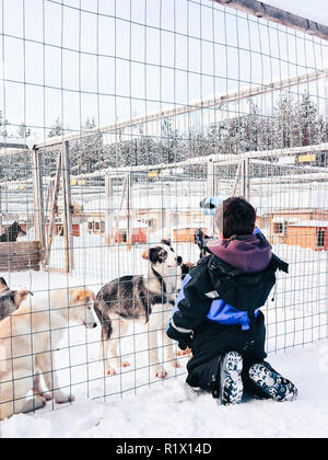 Bambini che giocano con Husky cuccioli di cane in Finlandia in Lapponia in inverno. Foto Stock