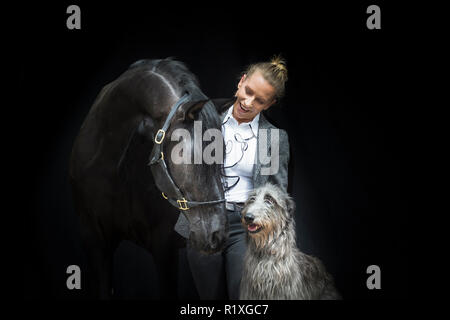 Puro Cavallo Spagnolo andaluso. Nero castrazione con il proprietario e Irish Wolfhound, visto contro uno sfondo nero. Germania Foto Stock