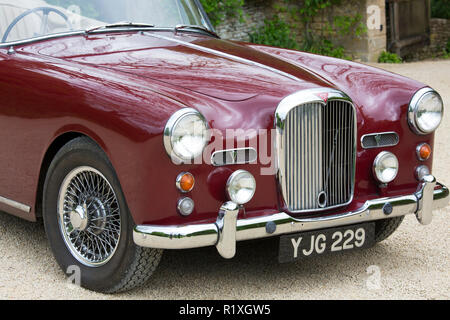 British Alvis TD21 serie DHC 1 drophead coupe auto classica Peonia close up paraurti anteriore, parafango, fari, griglia del radiatore, il cofano motore e il cofano, Foto Stock