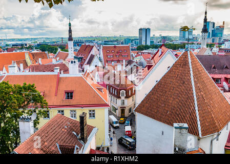 La città vecchia di Tallinn visto da un belvedere sulla collina di Toompea. Tallinn, Harju County, Estonia, paesi baltici, Europa. Foto Stock