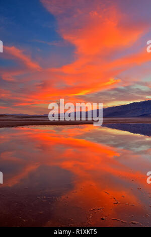 Alba riflessioni in soluzione salina per piscine di bacino Cottonball, Parco Nazionale della Valle della Morte, CALIFORNIA, STATI UNITI D'AMERICA Foto Stock