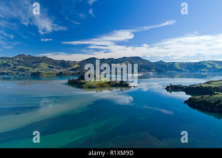 La quarantena isola e Portobello penisola Otago Harbour, Dunedin, Otago, Isola del Sud, Nuova Zelanda Foto Stock