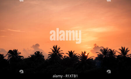 Silhouette di palme al tramonto, filtro vintage Foto Stock