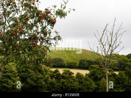 Cerne Abbas Giant hill chalk figura Foto Stock