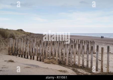 Inguine in legno per la spiaggia e le dune di sabbia di protezione alla Holme-Next-The-Sea in Norfolk, Inghilterra, Regno Unito Foto Stock