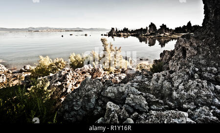 Ampia scelta di Mono Lake con guglie di tufo di carbonato di calcio, Mono Lake, Tufa State Reserve, California State, Stati Uniti Foto Stock