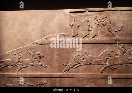 Rilievo assiro mostra lion scene di caccia al British Museum di Londra, Regno Unito Foto Stock