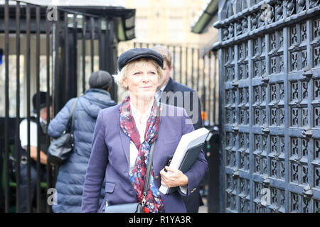 Londra, UK.XV Nov, 2018. Anna Soubry MP lascia il Parlamento, Westminster. Penelope Barritt/Alamy Live News Foto Stock