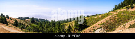 Vista panoramica delle colline e delle valli del Monte Tamalpais State Park, mare di nuvole che copre l'Oceano Pacifico sullo sfondo; Marin County, Nord Sa Foto Stock