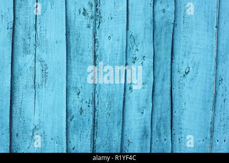 Scudo di tavole in legno multistrato con rivestimento sgusciate dipinte di blu Foto Stock