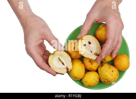 Lo Chef uomo verifica la qualità del giapponese le mele cotogne frutti prima di fare la marmellata. Isolato su bianco studio closeup shot Foto Stock