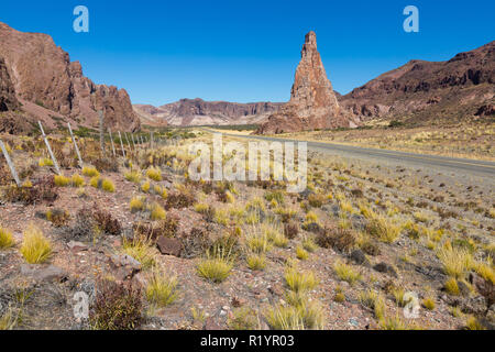 Natura e vedute del paesaggio vicino autostrada nazionale 25, Patagonia, Argentina, Sud America Foto Stock
