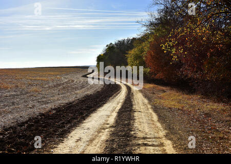 Splendido paesaggio di campagna con road ,tra la foresta e del campo , in Dobrogea land, Romania Foto Stock