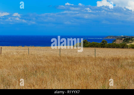 Terra pastorale, Flinders, Penisola di Mornington, Victoria, Australia Foto Stock