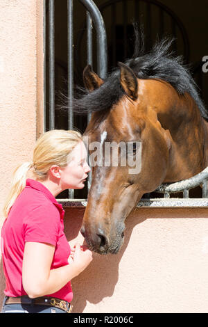 Holsteiner cavallo. Donna con smooching bay stallone in una scatola, Germania Foto Stock