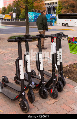 In Crystal City, Virginia, Stati Uniti d'America - Bird scooter elettrici parcheggiato sul marciapiede, nella contea di Arlington. Foto Stock