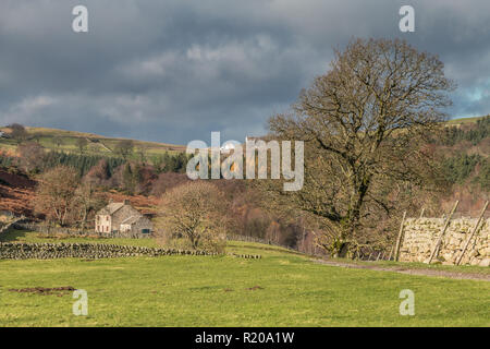 North Pennines AONB paesaggio, Testa Holwick farm, Teesdale superiore in forte tardo autunno di sole e un cielo drammatico Foto Stock