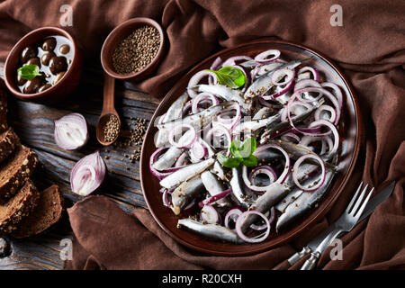 Salate spratti insalata con anelli di cipolle su una piastra di terracotta su un vecchio rustico tavolo in legno con le olive in un recipiente e la segala a fette di pane su un vecchio rustico Foto Stock