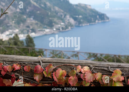 Vista dal giardino di Villa Cimbrone sulla costiera del Mar Mediterraneo e sulla costa, con rosso foglie d'edera in primo piano. Foto Stock