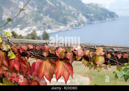 Vista dal giardino di Villa Cimbrone sulla costiera del Mar Mediterraneo e sulla costa, con rosso foglie d'edera in primo piano. Foto Stock