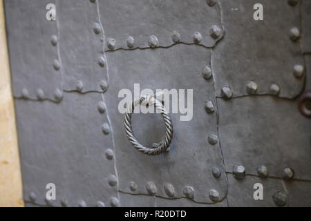 Anello di metallo. Anello di metallo su metallo porte Foto Stock