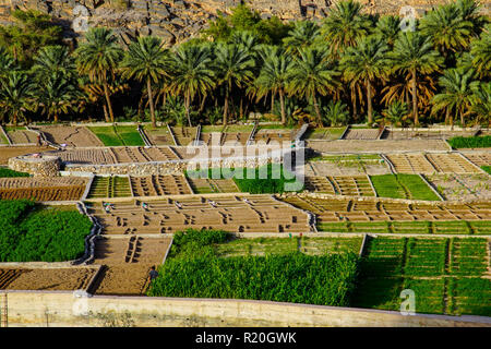 Vista di Ghul villaggio fantasma, Al Hamra, Oman. Foto Stock