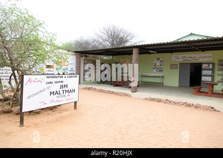 Conservazione della fauna selvatica in Africa - La Fondazione Africat per Big cat conservazione, l'Okonjima riserva naturale, Namibia Africa Foto Stock