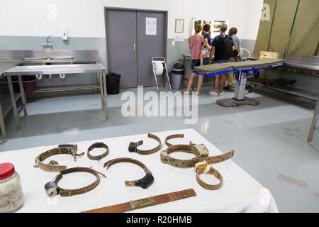 La conservazione degli animali - Namibia turisti in un tour guidato della Fondazione Africat, l'Okonjima riserva naturale, Namibia Africa Foto Stock