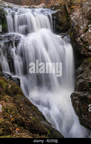 Cascata in un flusso roccioso a Aira Force nel distretto del lago, Inghilterra Foto Stock