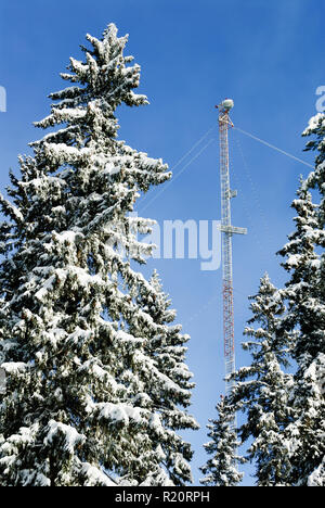 Torre di comunicazione e alberi innevati Foto Stock