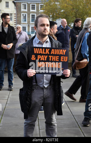 Regno Unito Unity "riprendere il controllo' pro-Brexit protesta. Norwich contro i fascisti hanno organizzato un grande bancone-dimostrazione. Norwich, Regno Unito 10 novembre 2018 Foto Stock