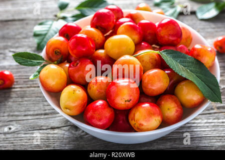 Le ciliege fresche, dolci frutti raccolti di fresco in estate Foto Stock