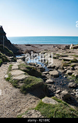 Fiume Eype a bocca Eype, Bridport, Dorset. Foto Stock