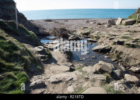 Fiume Eype a bocca Eype, Bridport, Dorset. Foto Stock