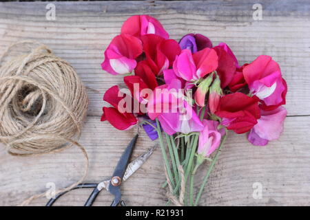 Lathyrus odoratus - Spencer varietà. Taglio fresco mazzetto di pisello dolce fiori sul tavolo di legno, REGNO UNITO Foto Stock