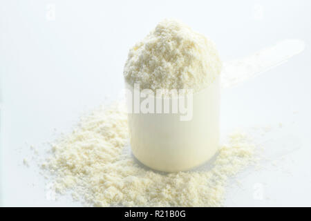 Salute: Scoop di proteina di siero di latte su sfondo bianco Shot in Studio Foto Stock