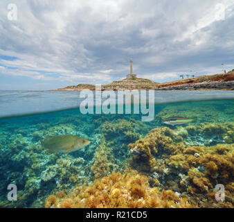 Costa con un faro e pesce con alghe sottomarine, vista suddivisa per metà al di sopra e al di sotto della superficie, il mar Mediterraneo, Cabo de Palos, Cartagena, Spagna Foto Stock