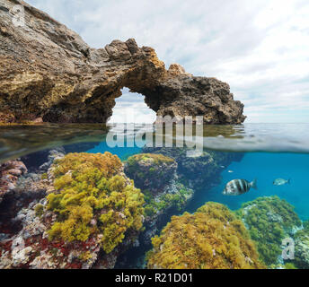 Formazione di roccia arco naturale con alghe e pesci subacquea, vista suddivisa per metà al di sopra e al di sotto della superficie dell'acqua, mare Mediterraneo, Cabo de Palos, Spagna Foto Stock