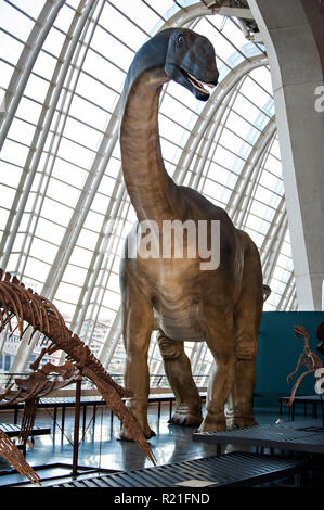 Imensione brontysaurus dinosauro presso il Museo della Scienza presso le arti delle scienze, Valencia, Spagna. Foto Stock