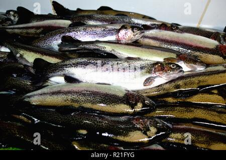 Trota- Mercato di Huaraz. Dipartimento di Ancash.PERÙ Foto Stock