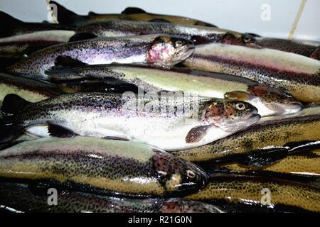Trota- Mercato di Huaraz. Dipartimento di Ancash.PERÙ Foto Stock