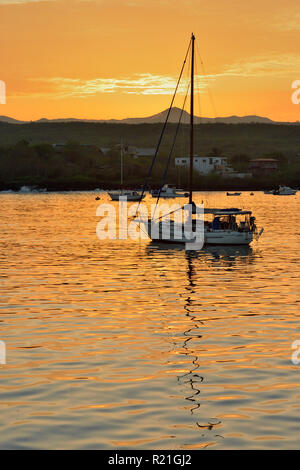 Dawn skies e ormeggiato pleasurecraft nel relitto Bay, Puerto Baquerizo Moreno, San Cristobal Island, Ecuador Foto Stock