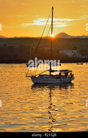 Dawn skies e ormeggiato pleasurecraft nel relitto Bay, Puerto Baquerizo Moreno, San Cristobal Island, Ecuador Foto Stock